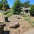 🌟RELIABLE + AFFORDABLE HANDYMAN SERVICES / GREEN WASTE + JUNK REMOVAL 2 thumbnail