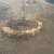 Mendozas landscaping services clean Ups weed control 13 thumbnail