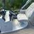 2019 QWEST LS 822 RLS FISHTAIL Tritoon 8 thumbnail