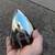ModelTech .40 P-51D rc airplane ARF 7 thumbnail