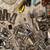 Craftsman/Husky/Seaco sockets wrenches & more 45 pounds approx.400 Pe. 13 thumbnail