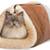 New Kitty Shack 3 thumbnail