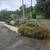 Furnished newly renovated 2 bed/1 bath + bonus room-nursery/office 18 thumbnail