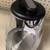 Hamilton beach 1.7L glass cordless kettle— new!! 4 thumbnail
