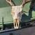 All Day Deer Hunts 8 thumbnail
