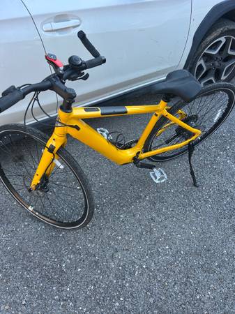 Giant small momentum ebike 1