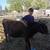 Mini jersey bull 2 thumbnail
