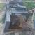 84" grapple bucket 1 thumbnail