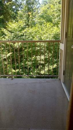 $2,395 / 3br - 1200ft2 - LARGE 3 BEDROOM ~ GREAT LOCATION (Samish)63935322255618121