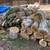 Firewood - cottonwood 1 thumbnail