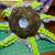 Crocheted Blue green Octopus LARGE plushie 8 thumbnail
