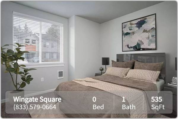 $1,325 / 535ft2 - Looking for a lovely Studio bath? Search no more! 535 Sq Feet (Vancouver)63672654053379122