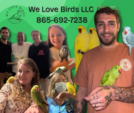We Love Birds LLC 1