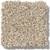 SHAW Anso Caress Nylon Carpet Special Truckload Purchase!!! 13 thumbnail