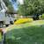🌲 TREE SERVICE / TREE REMOVAL / TRIMMING 🌲 1 thumbnail