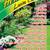 WE CUT GRASS! WE TRIM TREES/BUSHES! GENERAL LABOR WORK! AFFORDABLE PRICES! 1 thumbnail