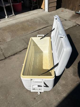 Igloo Cooler 1