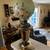 Brass table lamp 1 thumbnail