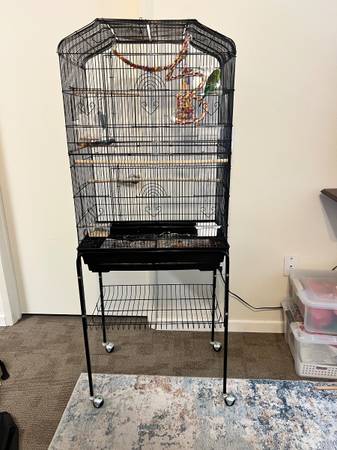 Lrg bird cage for bungee, lovebirds, etc small birds & cover (san jose east)63862000814979120