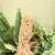 Created Gecko - rehoming 1 thumbnail