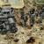 International Resources Services miniature village 2 thumbnail