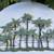 Palm Metal Wall Art - 38" long 2 thumbnail
