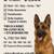 🐾 Northern Virginia Dog Obedience Training – Board & Train Programs! 1 thumbnail