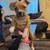 3 left of beautiful puppy litter 6 thumbnail
