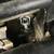 Kawasaki UTV Mule 16 thumbnail