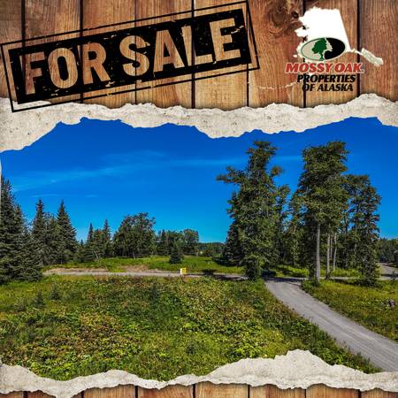 $30,000 1.13 Acre lot in Ninilchik (Ninilchik)64163336246147120