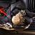 2023 Ducati Multistrada V4 Pikes Peak 6 thumbnail