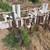 Midsize cultivator 1 thumbnail