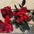 Christmas Decor Lot Red Glitter Sparkly Bushes Stems Spikes Garland Spheres Leaf 9 thumbnail
