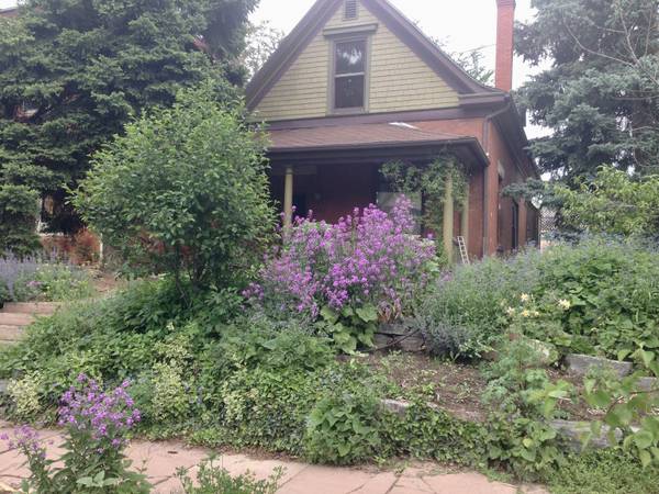 Urban homesteading community 1