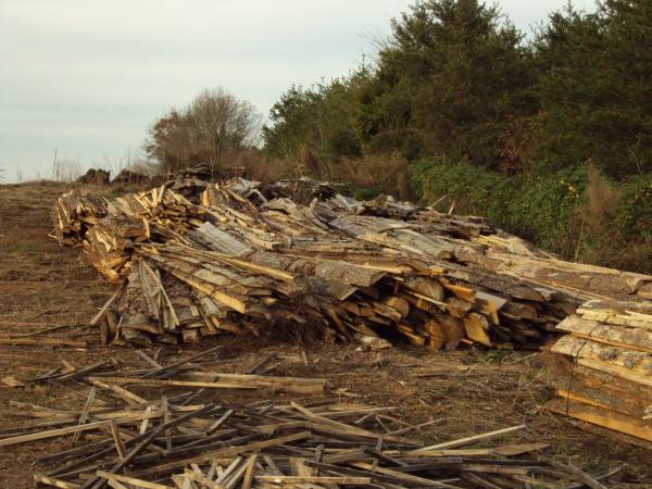 Free Sawmill Slabs/Firewood 1