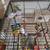 parakeets budgies for sale 8 colorful birds 2 thumbnail