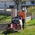 D & A TREE SERVICE FREE ESTIMATES (661)201-4306 4 thumbnail