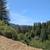 17 Acres • 3BR/2BA Mountain Retreat – Los Gatos Schools 4 thumbnail