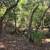 Residential - Custom Home Site - Located in Orinda, "El Toyonal" 6 thumbnail