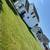 Nice Good Reliable Affordable Fall Clean & Lawn Care Service 17 thumbnail