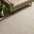 SHAW Anso Nylon Carpet Special Truckload Purchase!!! 13 thumbnail