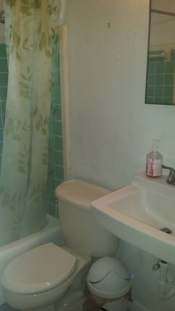 $1,700 / 3br - 1200ft2 - 3bed/2bath house near hiking & bike trail in Gainesville, FL (Sweetwater)63823035053825123