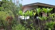 $2,825 / 3br - $2700 + GET; 3BR/2Ba; Captain Cook. Incluye servicios (excepto propano) (Captain Cook)63939661471619121