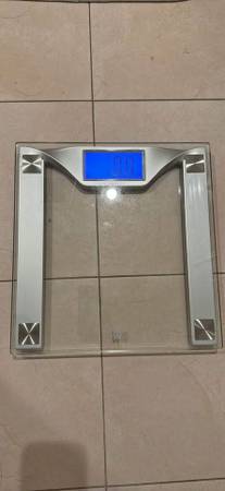 Scale 1