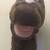 Horse Puppet 2 thumbnail