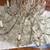 Candelabro  200 dlls 4 thumbnail