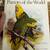 PARROTS OF THE WORLD BOOK 3 thumbnail