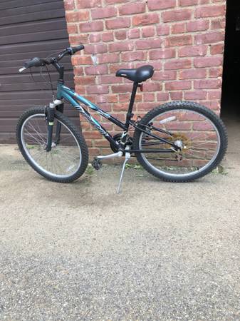 DiamondBack Outlook 1