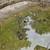 Yard drains/ roof drains/ sewer drains jetted 7 thumbnail