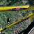 TREK MOUNTAIN BIKE 830 21 speed bicycle made in the USA 3 thumbnail